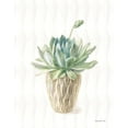 thumbnail image 2 of Nai, Danhui 15x18 White Modern Wood Framed Museum Art Print Titled - Desert Greenhouse XV, 2 of 4