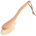 thumbnail image 1 of Japanese Stain Removal Brush, For Laundry, 1 of 1
