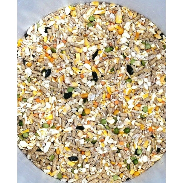 Chicken Rooster Game Bird Feed Scratch Grain Pellet Oyster Shell 3 LB 3