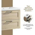 thumbnail image 3 of Modern 30 Inch Cosmo Wall-Hung Bathroom Vanity Ace with Sink, Storage Cabinet with Integrated White Countertop and 2 Large Metal Drawers - Assembled Storage Vanity by Flairwood Decors, 3 of 7