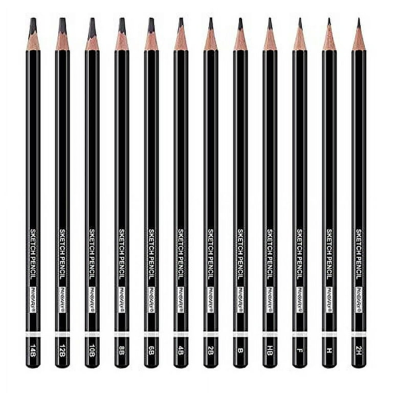 PANDAFLY Professional Drawing Sketching Pencil Set - 12 Pieces Graphite  Pencils(14B - 2H), Ideal for Drawing Art, Sketching, Shading, Artist Pencils  for Beginners & Pro Artists 12 Pack - Black