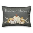 thumbnail image 2 of Creative Products Welcome Autumn Pumpkins 20 x 14 Spun Poly Pillow, 2 of 3
