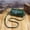 P689 Green, variant on Retro PU Leather Mouth Gold Bag Doctor Bag Clip Bag Casual Mini Crossbody Small Bag Cross-Border Independent Station
