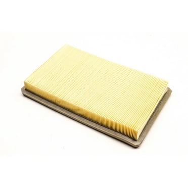 Hastings AF1040 Air Filter NOS