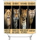 thumbnail image 2 of Juego de 4 cortinas de ducha con diseño de león, pareja de leones, azul real, rosa, flores, vida salvaje africana, safari, decoración de baño, cortina de ducha de tela impermeable, alfombra de baño, 2 of 7