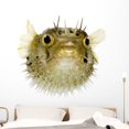 thumbnail image 1 of Long-spine Porcupinefish Wall Decal by Wallmonkeys Peel and Stick Graphic (48 in W x 43 in H) WM355303, 1 of 4