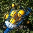 thumbnail image 6 of EVERSPROUT Twist-On Fruit Picker Basket, 6 of 6