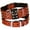 Brown, variant on Pet Artist 2 Inch Wide Cool Spiked Studded Leather Dog Collar Heavy Duty For Medium Large Dogs Pitbull German Shepherd