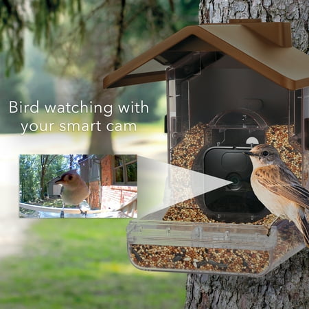 Wasserstein - Bird Feeder Camera Case Compatible with Blink, Wyze, and Ring Cam (Camera NOT Included)