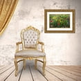 thumbnail image 3 of Ditto, Larry 24x17 Gold Ornate Wood Framed with Double Matting Museum Art Print Titled - Wildflowers including Slender Greenthread and Firewheel, 3 of 4