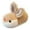 Coffee, variant on Daznico Cozy Cartoon Soft Sole Slippers for Toddler Kids Baby Girls and Boys Warm Indoor Shoes,10