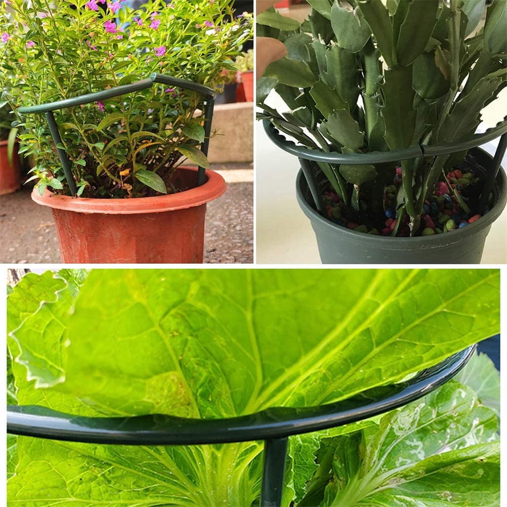M optimized 6pcs Plant Support Ring Metal Half Round Plant Stakes For Flowers Vegetables Indoor Leaf Plants (14.5 X 15.0 Cm)