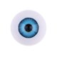 thumbnail image 4 of Ojos de acrílico Ovalados Sunnimix para Muñeca, 4 of 8