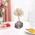 thumbnail image 1 of Árbol de dinero de cristal de árbol de bonsai de cristal natural Adorno de árbol de piedras caídas con soporte de de rebanada d CUTICAT Árbol de dinero de cristal, 1 of 8