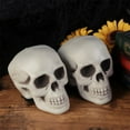 thumbnail image 4 of Halloween Skulls Decor Plastic Skeleton Head Decorations Ornament Props Terrifying Mini Bar Party Craft Heads Realistic, 4 of 7