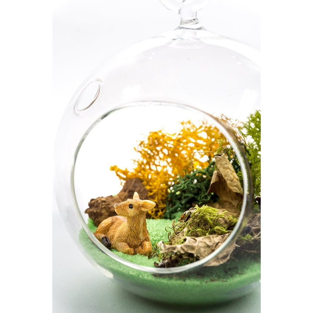 Terrarium Kit Deer Meadow Wildlife Lovers Series Complete