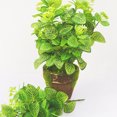 thumbnail image 2 of Bearachild Planta simulada verde de bajo mantenimiento 4x para decoración interior y exterior Planta falsa interior o exterior Decoración, 2 of 6
