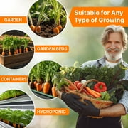 Organo Republic Imperator 58 Carrot Seeds – 1,800+ Non-GMO Heirloom Seeds, 2G Packet for Planting Vegetables Indoors & Outdoors, Sweet and Crisp Carrots for Home Garden