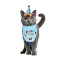 thumbnail image 2 of 1 gorro de fiesta de cumpleaños para mascotas., 2 of 3