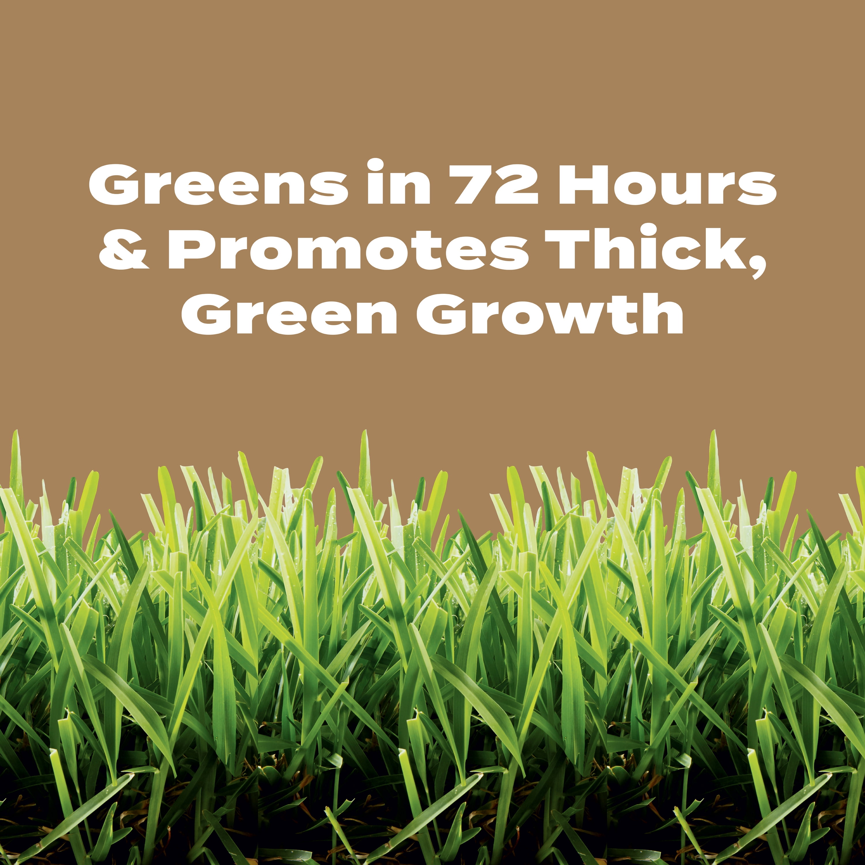 Scotts Turf Builder Weed & Feed for Texas Lawns, Weed Killer Plus Lawn Fertilizer, 22.40 lbs.