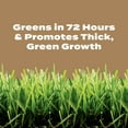 thumbnail image 5 of Scotts Turf Builder Weed & Feed for Texas Lawns, Weed Killer Plus Lawn Fertilizer, 22.40 lbs., 5 of 14
