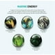 thumbnail image 5 of Spray solar JmSolution Marine Luminous Pearl SPF50+ PA++++ 180 ml, 5 of 9