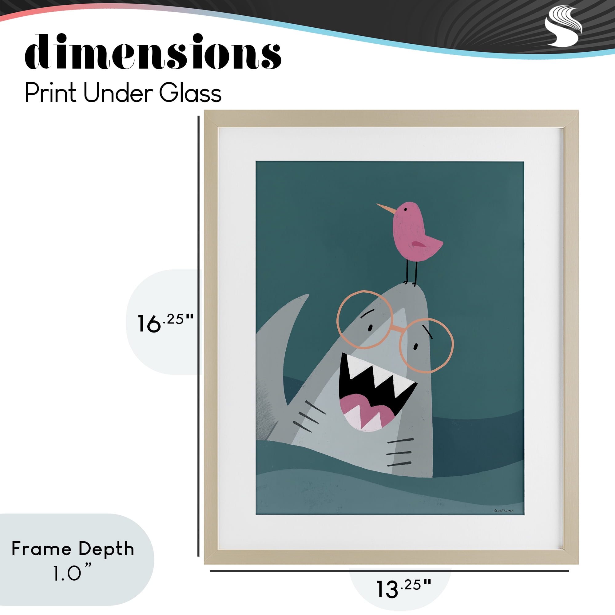 Stupell Industries The Friendliest Shark Birch Framed Print Under Glass, design by Rachel Nieman