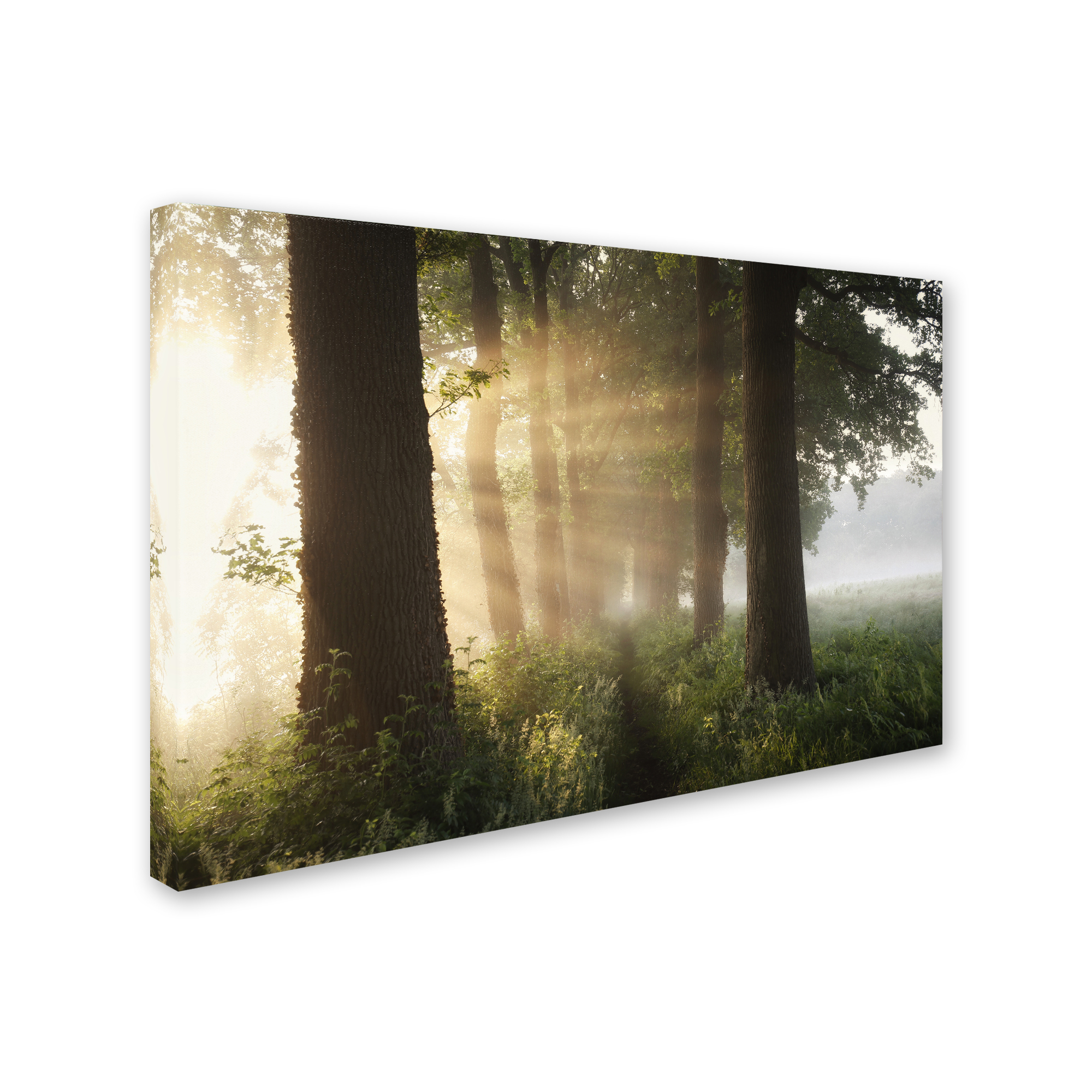 Vincent Croce 'First Day Of Summer' Canvas Art