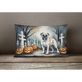 thumbnail image 3 of Carolines Treasures DAC2025PW1216 16 x 12 in. Unisex Boxer Spooky Halloween Fabric Decorative Pillow, 3 of 4