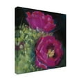 thumbnail image 2 of Carol Rowan 'Blooming Succulent III' Canvas Art, 2 of 4