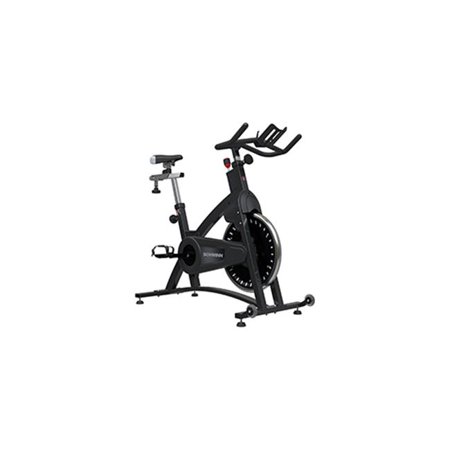 Schwinn Fitness IC Classic Indoor Bike with Flat Pedals & Cages