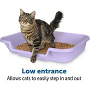 Kitty Go Here Senior Cat Litter Box for Cats Who Cant Cope With A Traditional Litter Box Lavender