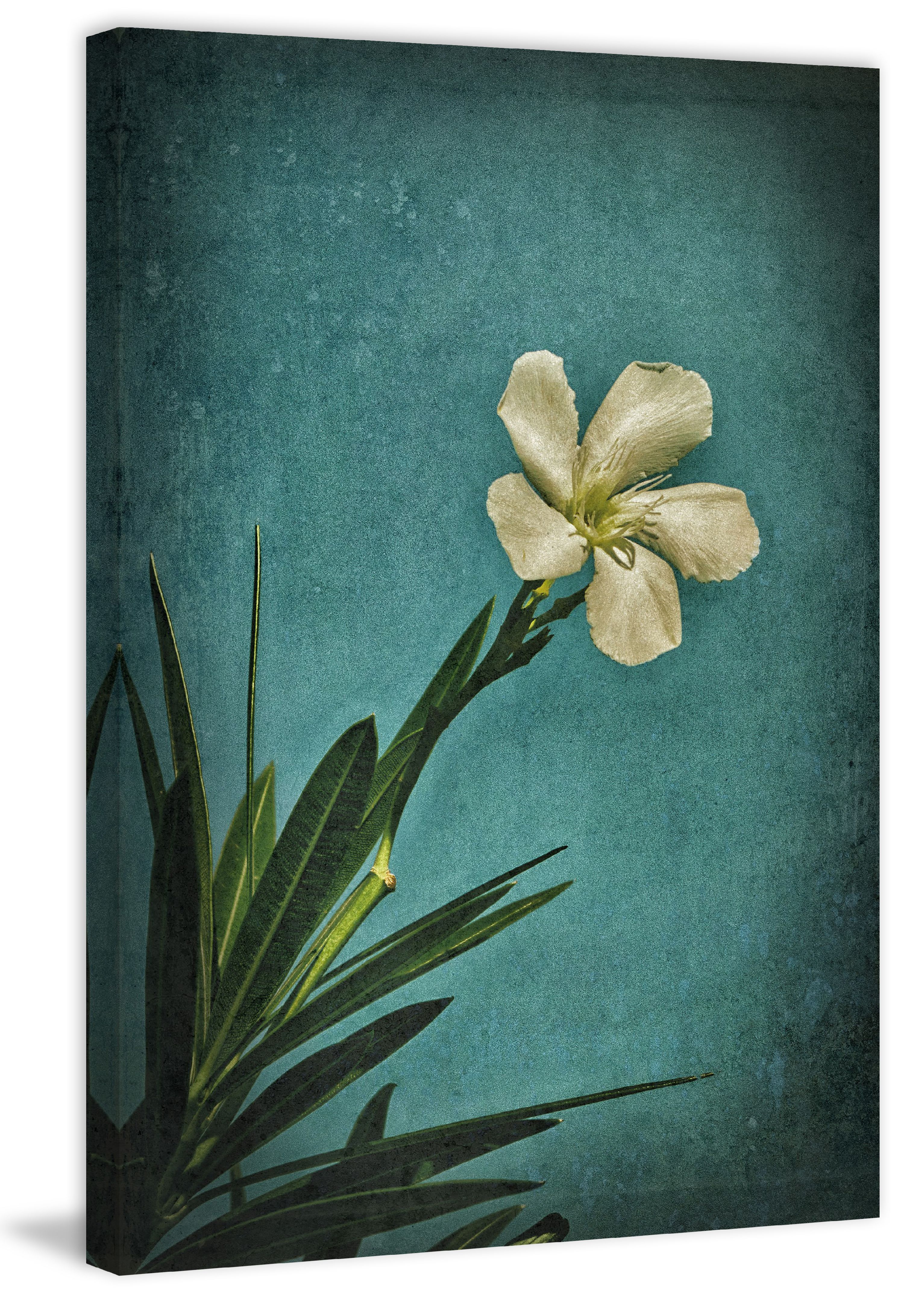 "White Flower Right" Painting Print on Wrapped Canvas
