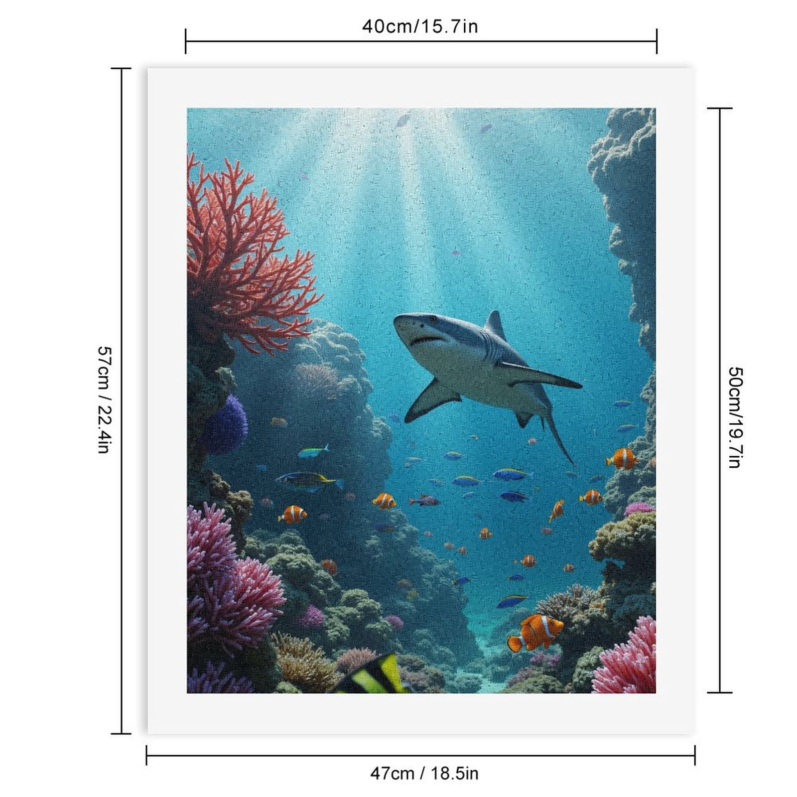 Paint by Numbers Kit for Adults, Underwater Reef Shark Coral Fish Paint by Numbers, Easy Paint by Numbers Kit for Adults Beginner, DIY Adult Paint by Number Kits on Canvas, 12x16in Home Decor