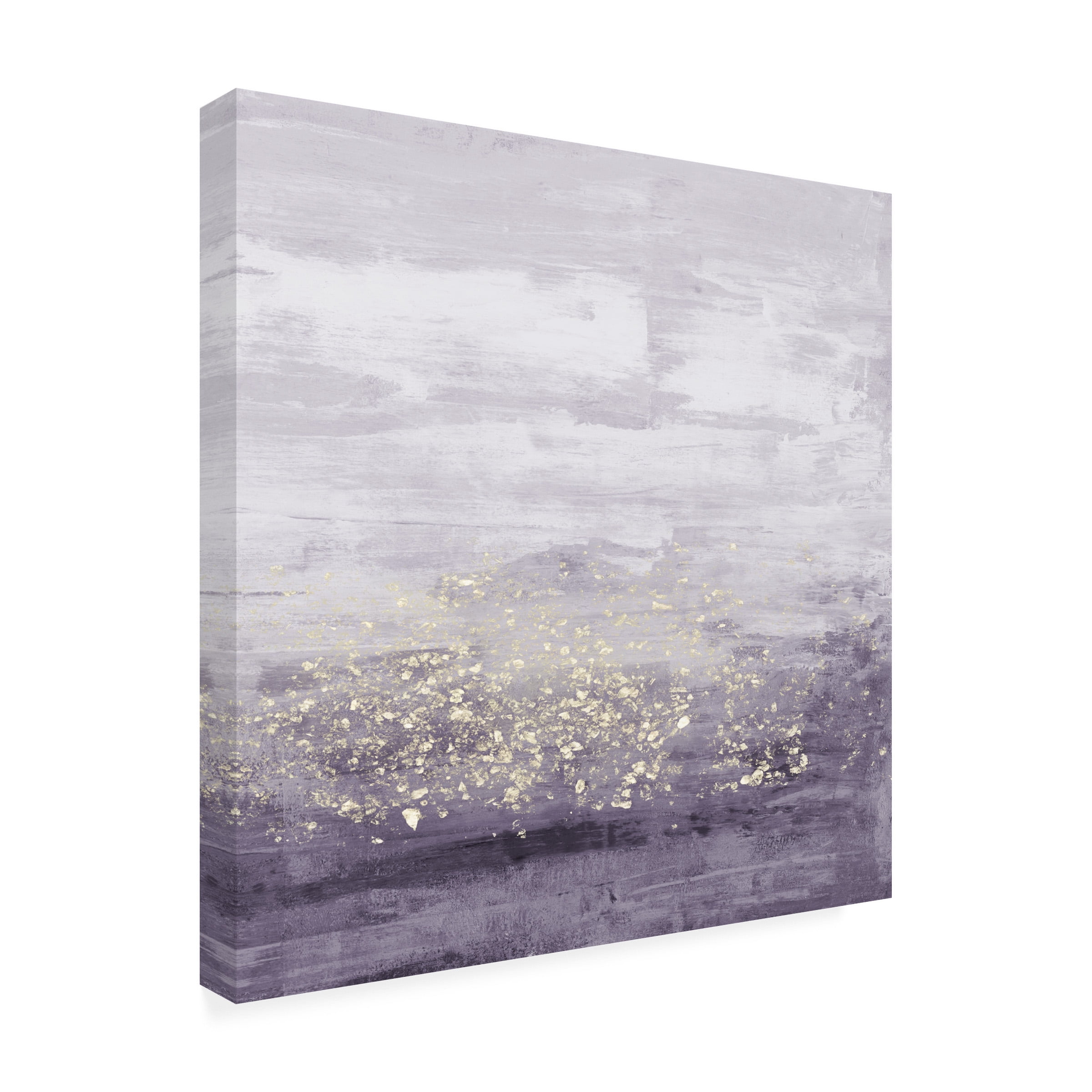 Trademark Fine Art Jennifer Goldberger Amethyst Glitter I Canvas Wall Art - 14x14