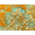 thumbnail image 2 of Tenoever, William 24x19 White Modern Wood Framed Museum Art Print Titled - ColorMoods:BroomBlooms6, 2 of 4