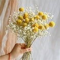 thumbnail image 5 of 30 Artificial Billy Balls Flowers,Golden Craspedia Globosa Flowers,Permanent Flower Craspedia,Natural Dried Flowers Bouquet,Table Centerpieces,Vase Filler,for Birthday Valentine's Day Party, 5 of 8