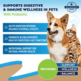 thumbnail image 6 of Natural Intestinal Defense for Dogs & Cats – Herbal Cleanse with Black Walnut, Wormwood & Probiotic – Promotes Healthy Gut & Flora Balance – Advanced Broad Spectrum Formula, 6 of 8