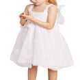 thumbnail image 4 of POINTERTECK Infant Baby Girls Lace Dress Outfit Sleeveless Tutu Mini Dress, 4 of 6