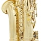 thumbnail image 4 of Saxofón Latón Eb Alto Saxofón Instrumento de viento de madera lacado dorado con estuche de transporte Guantes Cepillo de paño de limpieza Correa de saxofón Mudo Boquilla Cepillo TOMSHOO Saxofón, 4 of 6