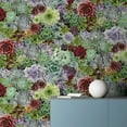 thumbnail image 6 of Arthouse Rhea Multicolor Succulents Wallpaper, 6 of 7
