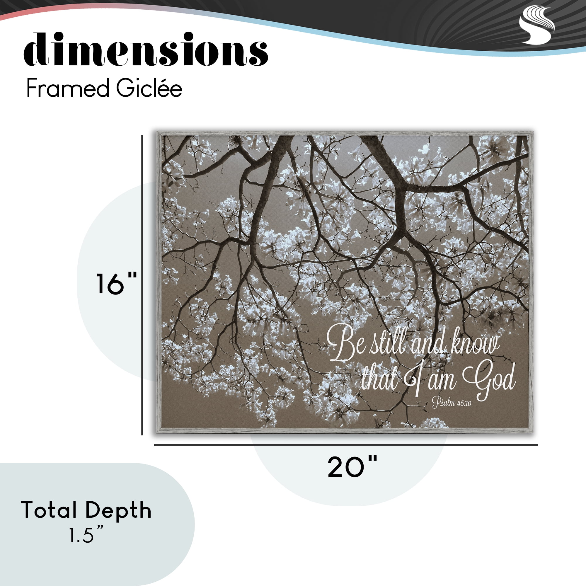 Stupell Industries Be Still Apple Blossoms Gray Framed Giclee Art, design by Gail Peck