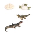 thumbnail image 1 of Bewildely 1 Juego de modelo de gusano de pala, Material plástico Premium, figuritas de insectos significativas, modelos de crecimiento educativo temprano Juguetes Educativos cocodrilo tipo2 NO16 Bewildely  FN010083-16, 1 of 6