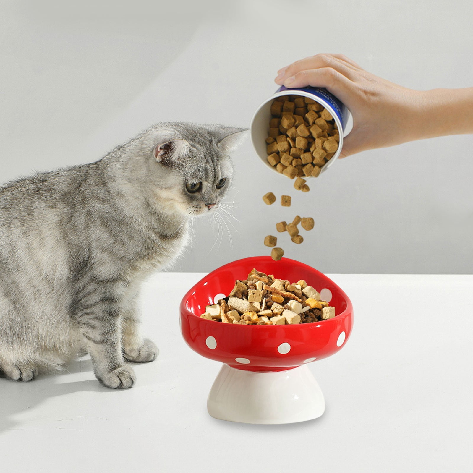 Nkmbld Cat Bowls Elevated, Large Capacity Ceramics Pet Bowl Wide Mouth Non-Slip Food Water Bowl for Cats Dogs, Anti-Vomiting and Whisker Friendly