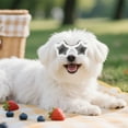thumbnail image 3 of REK Cat Goggles With Adjustable Straps Eye Suitable For Cats For Outdoor Activities, 3 of 4