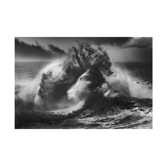 Canvas Wall Art - Paolo Lazzarotti 'Poseidon Majesty ' Wall Art for Living Room, Bedroom, or Office Décor by Trademark Fine Art - 19 x 12 Inches