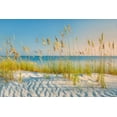thumbnail image 2 of Frates, Dennis 32x23 Black Ornate Wood Framed with Double Matting Museum Art Print Titled - Sea Oats, 2 of 4