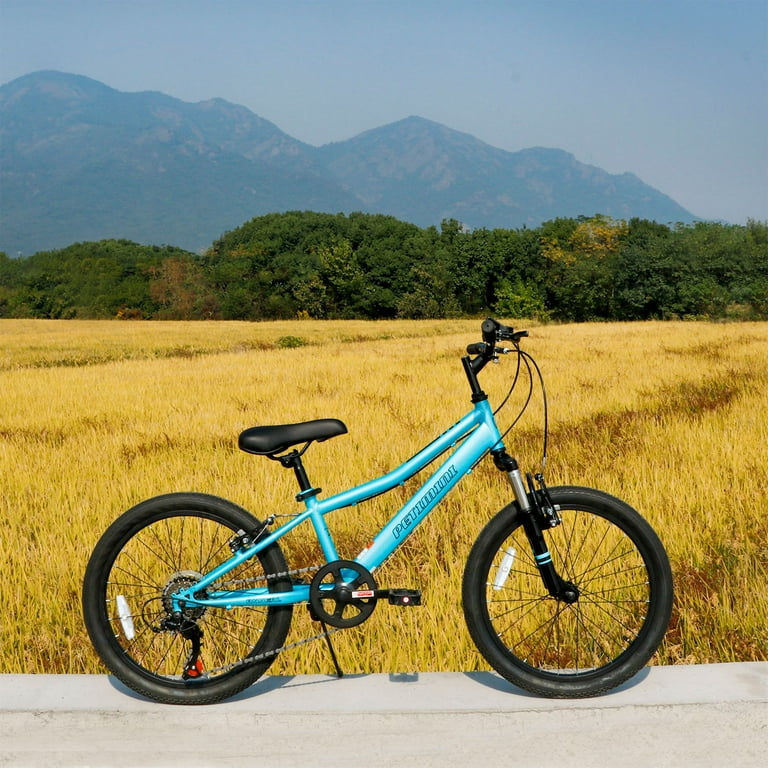 Raleigh cyclone cheap mountain bike