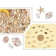 thumbnail image 4 of 1500 piezas de conchas marinas mixtas, conchas marinas naturales, cuentas en espiral para decoración del hogar, fiestas temáticas de playa, fabricación de velas, decoración de bodas, manualidades DIY, 4 of 6