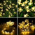 thumbnail image 4 of Guirnalda de luces solares para exteriores TANGJMXG 50 luces LED decorativas impermeable, 4 of 5